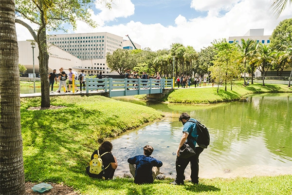 A group of students looking for turtle at Turtle Pond.