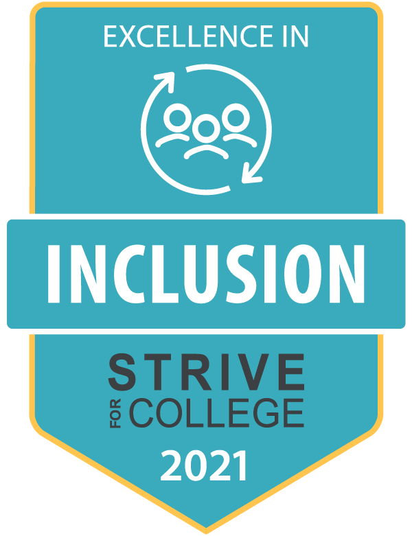 Excellence in Inclusion