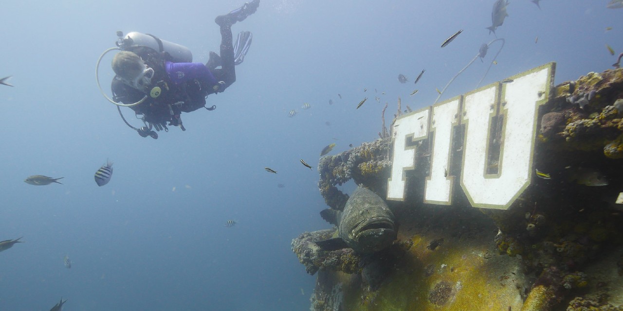 ExplROAR More - Marine Biology