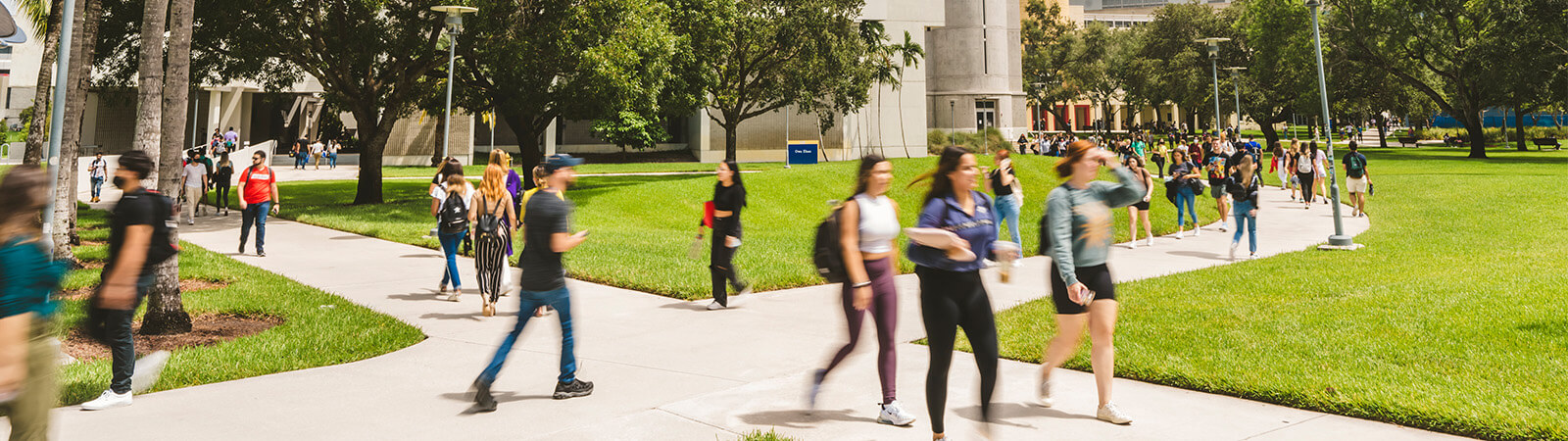 When To Apply As A Transfer Student When To Apply As A Transfer Student