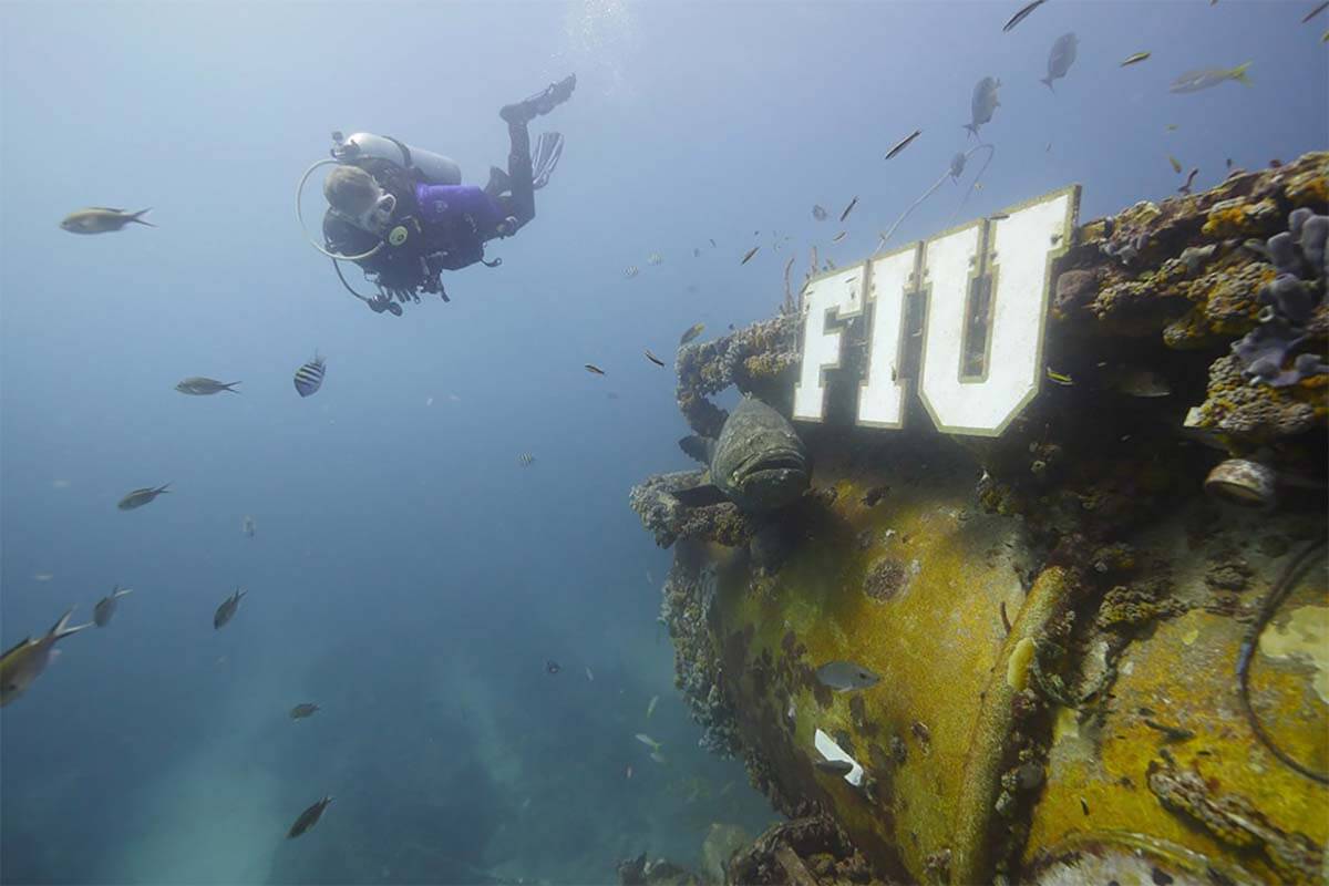 A diver diving to the Medina Aquarius Reef base in Key Largo, FL
